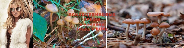 таблы Беломорск