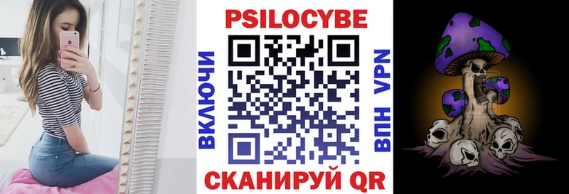 Псилоцибиновые грибы Cubensis Ясногорск