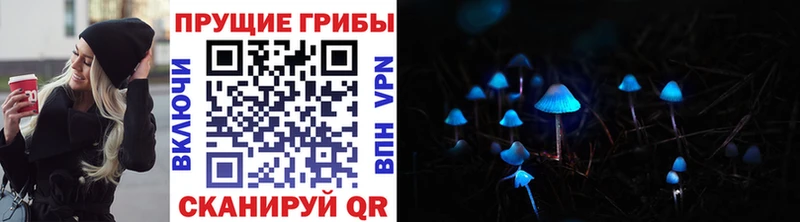 дарнет шоп  Ясногорск  ОМГ ОМГ маркетплейс  Галлюциногенные грибы Magic Shrooms 